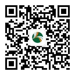 手機(jī)站二維碼